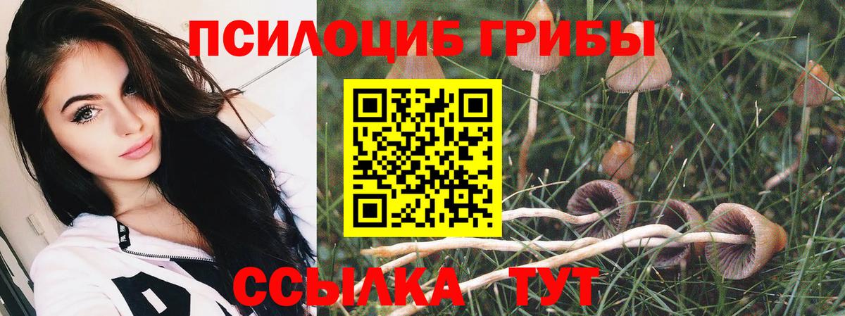 Галлюциногенные грибы мухоморы  Вход с VPN  Рыбинск 